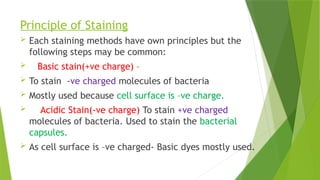 Routine Staining ROUTINE STAINS IN MICROBIOLOGY-DR. JAY.pptx