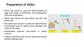 Preparation of slides
• Saline wet mount is used for demonstration of
eggs and larvae of helminths, and trophozoites
and cysts of protozoa.
• Saline wet mount can also detect red cells and
white cells.
• The iodine wet mount is useful for identification
of protozoal cysts as iodine stains glycogen and
nuclei of the cysts.
• Trophozoites become non-motile in iodine
mounts.
• A liquid, diarrheal stool can be examined directly
without adding saline.
 