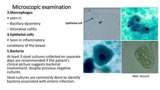 Microscopic examination
3.Macrophages
• seen in
– Bacillary dysentery
– Ulcerative colitis
4.Epithelial cells
• Seen in inflammatory
conditions of the bowel
5.Bacteria
At least 3 stool cultures collected on separate
days are recommended if the patient’s
clinical picture suggests bacterial
involvement, despite previous negative
cultures.
Stool cultures are commonly done to identify
bacteria associated with enteric infection.
Epithelial cell
 
