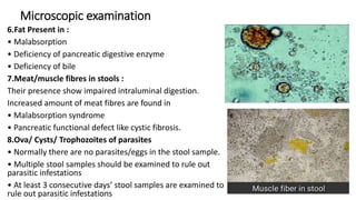 Microscopic examination
6.Fat Present in :
• Malabsorption
• Deficiency of pancreatic digestive enzyme
• Deficiency of bile
7.Meat/muscle fibres in stools :
Their presence show impaired intraluminal digestion.
Increased amount of meat fibres are found in
• Malabsorption syndrome
• Pancreatic functional defect like cystic fibrosis.
8.Ova/ Cysts/ Trophozoites of parasites
• Normally there are no parasites/eggs in the stool sample.
• Multiple stool samples should be examined to rule out
parasitic infestations
• At least 3 consecutive days’ stool samples are examined to
rule out parasitic infestations
 