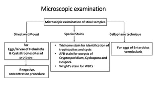 Microscopic examination
 