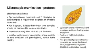 Microscopic examination - protozoa
Entamoeba histolytica
• Demonstration of trophozoites of E. histolytica in
stool samples is required for diagnosis of amoebic
dysentery.
• For diagnosis, at least three fresh stool samples
should be examined to increase sensitivity.
• Trophozoites vary from 15 to 40 μ in diameter.
• In saline wet mounts, trophozoites show motility
in one direction via pseudopodia, which form
rapidly.
 