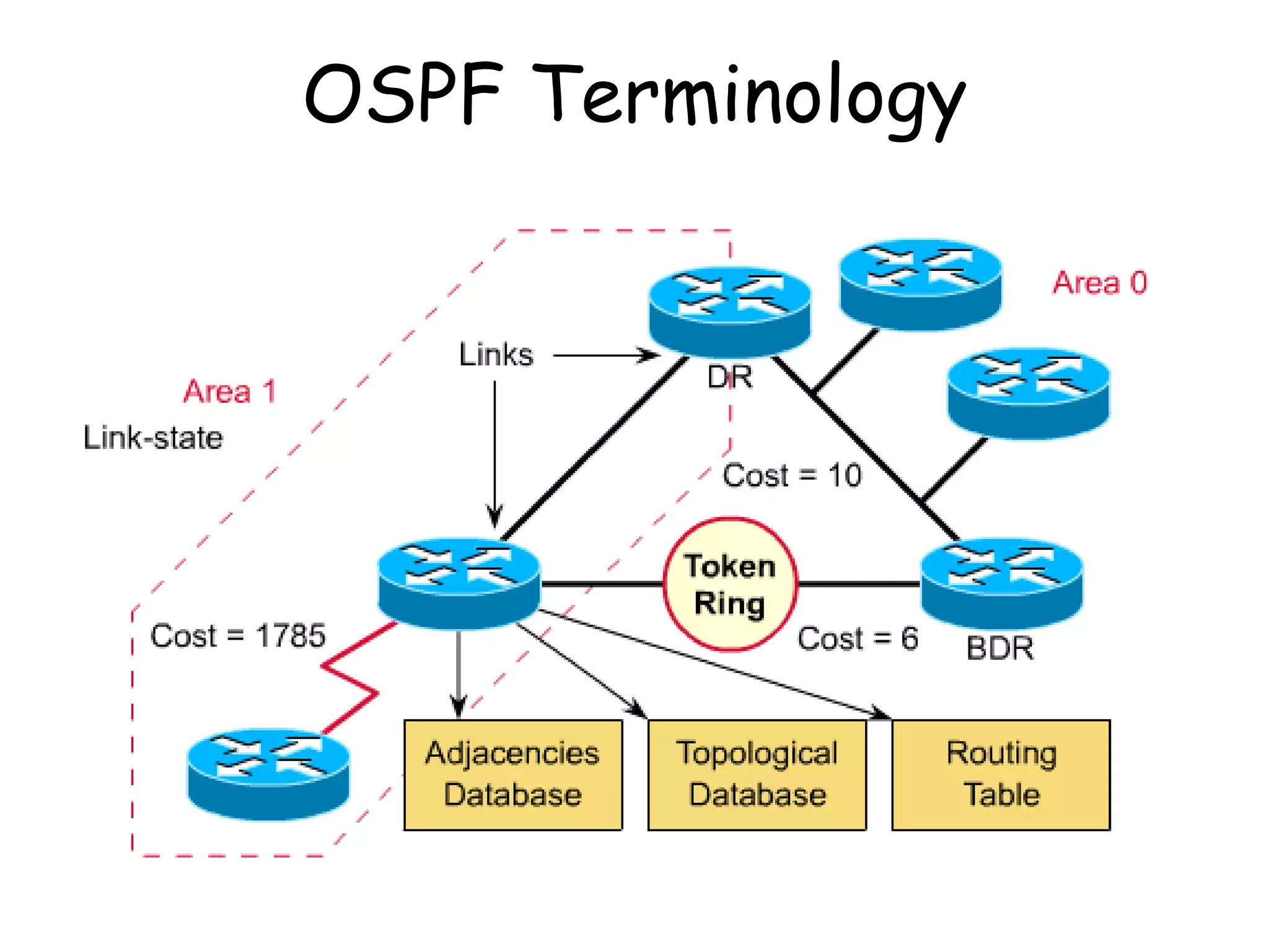 OSPF Terminology 