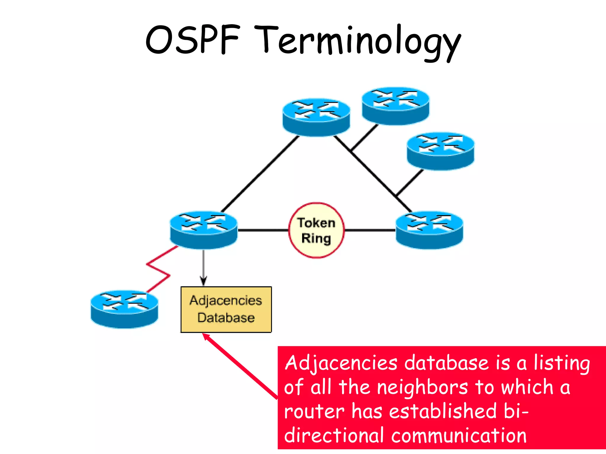 OSPF Terminology Adjacencies database is a listing of all the neighbors to which a router has established bi-directional communication 