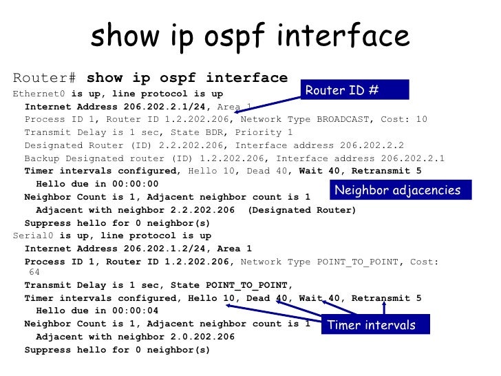 Routing and OSPF
