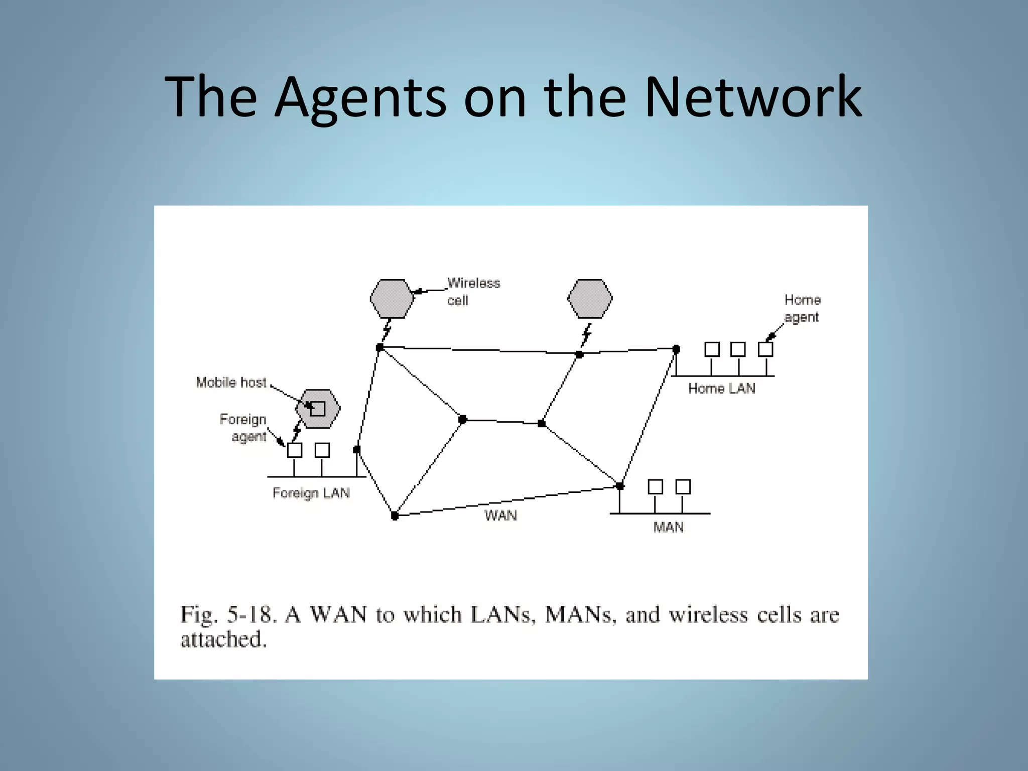 The Agents on the Network
 