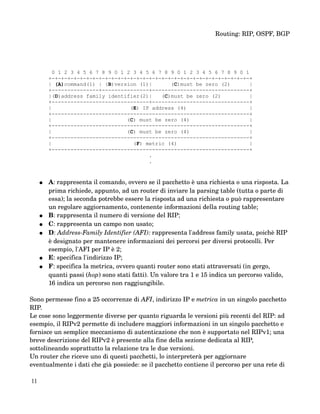 Routing: trattazione dei protocolli RIP, OSPF e BGP | PDF