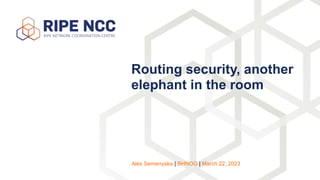 Routing security, another
elephant in the room
Alex Semenyaka | BHNOG | March 22, 2023
 