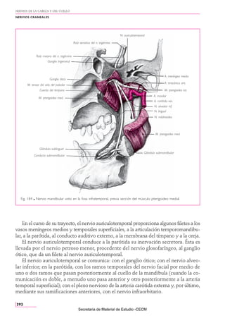 ROUVIERE Nervio trigemino origen etiologia y dirrecion | PDF