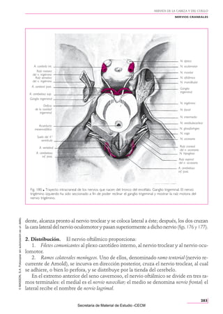 ROUVIERE Nervio trigemino origen etiologia y dirrecion | PDF