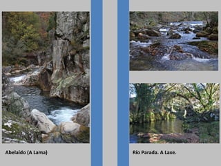 Abelaído (A Lama)

Río Parada. A Laxe.

 