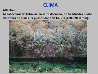 CLIMA

Atlántico.
As cabeceiras do Oitavén, na serra do Suído, están situadas nunha
das zonas de máis alta pluviosidade de Galicia (1800-2000 mm).

 