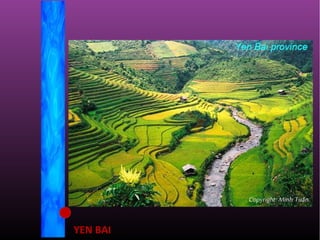 YEN BAI
 