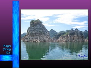 Negro
(Song
Da )
 