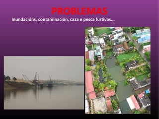 Inundacións, contaminación, caza e pesca furtivas...
PROBLEMAS
 
