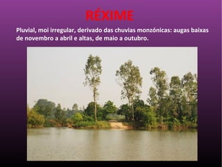 Pluvial, moi irregular, derivado das chuvias monzónicas: augas baixas
de novembro a abril e altas, de maio a outubro.
RÉXIME
 