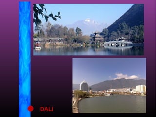 DALI
 