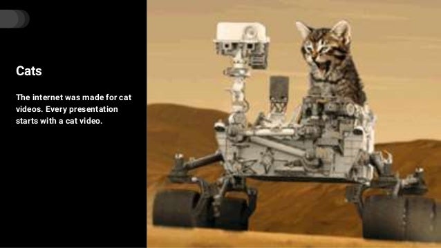 mars robot cat