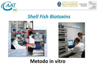 Shell Fish Biotoxins 
Metodo in vitro 
 