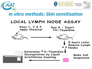 In vitro methods: Skin sensitisation 
LOCAL LYMPH NODE ASSAY 
Days 1, 2 & 3 
Apply Chemical 
Day 6 - Inject 
3 H-Thymidine 
5 hours Later 
Remove Lymph 
Nodes 
Make Cell 
Suspension 
3 
Determine H-Thymidine 
Incorporation by Liquid 
Scintillation Counting 
 