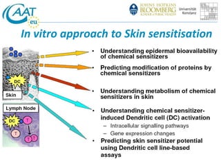 In vitro approach to Skin sensitisation 
 