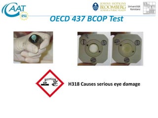 OECD 437 BCOP Test 
H318 Causes serious eye damage 
 