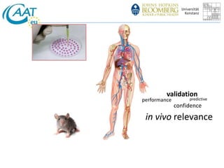 validation 
performance 
predictive 
confidence 
in vivo relevance 
 