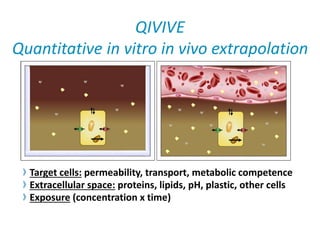 QIVIVE 
Quantitative in vitro in vivo extrapolation 
Target cells: permeability, transport, metabolic competence 
Extracellular space: proteins, lipids, pH, plastic, other cells 
Exposure (concentration x time) 
 