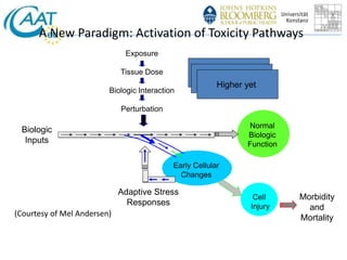 A New Paradigm: Activation of Toxicity Pathways 
Biologic 
Inputs 
Normal 
Biologic 
Function 
Morbidity 
and 
Mortality 
Cell 
Injury 
Adaptive Stress 
Responses 
Early Cellular 
Changes 
Exposure 
Tissue Dose 
Biologic Interaction 
Perturbation 
Low Dose 
Higher Dose 
Higher yet 
(Courtesy of Mel Andersen) 
 
