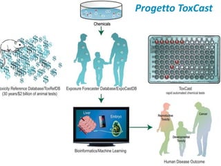 Progetto ToxCast 
 