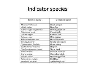 Species name Common name
Myctoperca bonaci Black grouper
Albula vulpes Bonefish
Heteroconger longissimus Brown garden eel
Gobiosoma genie Cleaner goby
Caranx hippos Crevalle jack
Lutjanus jocu Dog snapper
Sphyraena barracuda Great barracuda
Seriola dumerili Greater amberjack
Gymnothorax funebris Green moray
Lachnolaimus maximus Hogfish
Ginglymostoma cirratum Nurse shark
Bothus lunatus Peacock flounder
Scarus vetula Queen Parrotfish
Balistes vetula Queen triggerfish
Epinephelus guttatus Red Hind
Aetobatus narinari Spotted eagle ray
Indicator species
 