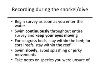 Recording during the snorkel/dive
• Begin survey as soon as you enter the
water
• Swim continuously throughout entire
survey and keep your eyes moving
• For seagrass beds, stay within the bed; for
coral reefs, stay within the reef
• Swim slowly; avoid splashing or jerky
movements
• Take notes on species you were unsure of
 