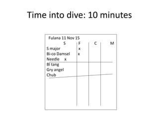 Time into dive: 10 minutes
Fulana 11 Nov 15
S F C M
S major x
Bi-co Damsel x
Needle x
Bl tang
Gry angel
Chub
 