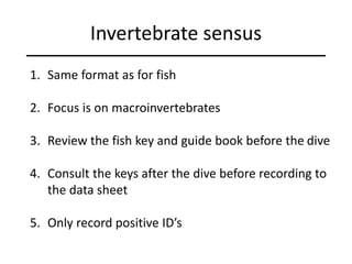 Invertebrate sensus
1. Same format as for fish
2. Focus is on macroinvertebrates
3. Review the fish key and guide book before the dive
4. Consult the keys after the dive before recording to
the data sheet
5. Only record positive ID’s
 