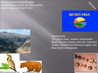 Montana Its nick name is treasure state. Some famous people are Gary cooper, Martha rays, and David lynch. Symbols like The grizzly bear, western meadowlark ,  Black dog soil, ponder pine tree, bitterroot flower, sapphire and Montana agate, and Blue bunch wheatgrass. 