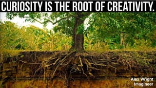 Curiosity is the root of creativity.
Alex Wright
Imagineer
 