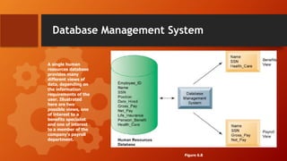 Database Management System
A single human
resources database
provides many
different views of
data, depending on
the information
requirements of the
user. Illustrated
here are two
possible views, one
of interest to a
benefits specialist
and one of interest
to a member of the
company’s payroll
department.
Figure 6.8
 