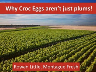 Why Croc Eggs aren’t just plums!
Rowan Little, Montague Fresh
 