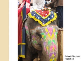 Painted Elephant
Rajasthan
 