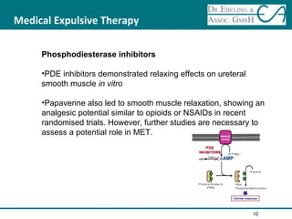 Medical Expulsive Therapy
Phosphodiesterase inhibitors
•PDE inhibitors demonstrated relaxing effects on ureteral
smooth muscle in vitro
•Papaverine also led to smooth muscle relaxation, showing an
analgesic potential similar to opioids or NSAIDs in recent
randomised trials. However, further studies are necessary to
assess a potential role in MET.
10
cAMP
 