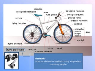 Przerzutka Przerzuca łańcuch na zębatki korby. Odpowiada za zmianę biegów. 