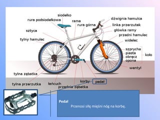 Pedał Przenosi siłę mięśni nóg na korbę. 