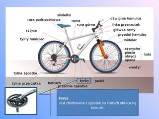 Korba Jest zbudowana z zębatek po których obraca się łańcuch. 