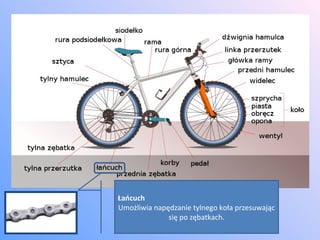 Łańcuch Umożliwia napędzanie tylnego koła przesuwając się po zębatkach. 