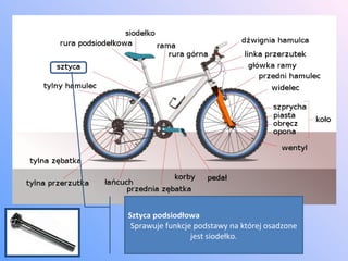 Sztyca podsiodłowa Sprawuje funkcje podstawy na której osadzone jest siodełko. 