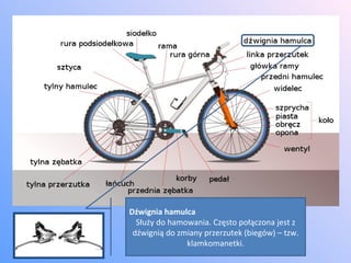 Dźwignia hamulca Służy do hamowania. Często połączona jest z dźwignią do zmiany przerzutek (biegów) – tzw. klamkomanetki. 