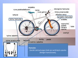Hamulec Zaciski zatrzymujące koło po wciśnięciu spustu dźwigni hamulcowej. 