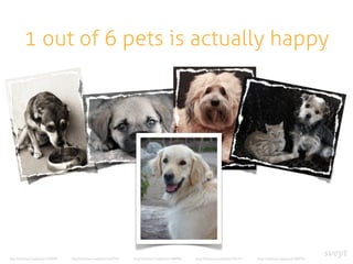 1 out of 6 pets is actually happy
http://www.sxc.hu/photo/1428378 http://www.sxc.hu/photo/1427333 http://www.sxc.hu/photo/1388996 http://www.sxc.hu/photo/1421011 http://www.sxc.hu/photo/1009754
 