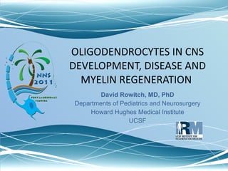 OLIGODENDROCYTES IN CNS DEVELOPMENT, DISEASE AND MYELIN REGENERATION  David Rowitch, MD, PhD Departments of Pediatrics and Neurosurgery Howard Hughes Medical Institute UCSF 