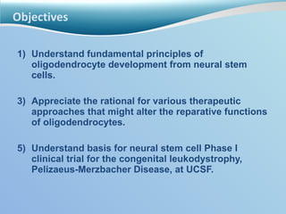 Objectives <ul><li>Understand fundamental principles of oligodendrocyte development from neural stem cells. </li></ul><ul>...
